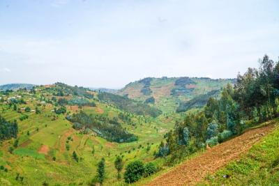 Farming is essential to people's livelihoods and health in rural Burera district, Rwanda.